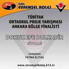 Evrensel Kolej